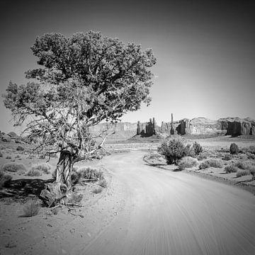 Monument Valley Drive en totempaal z/w van Melanie Viola