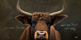 (Englisch) "Schottischer Hochländer, Spitz und Flauschig" von Ludifant