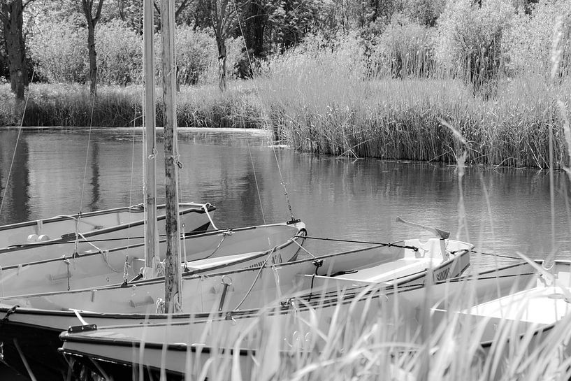 Rest by Bianca Borsboom