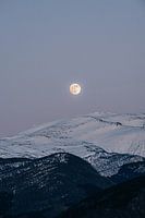 Volle maan