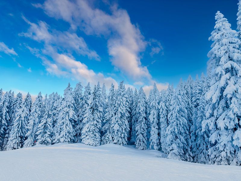 Winterlandschaft im Montafon von Dirk Rüter