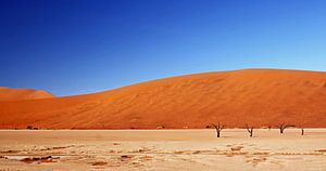 At the Dead Vlei Namibia sur W. Woyke