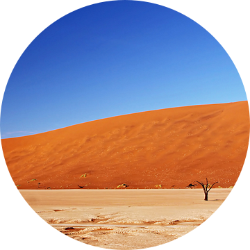 At the Dead Vlei Namibia van W. Woyke