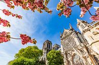 Kathedraal Notre-Dame in Parijs van Werner Dieterich thumbnail