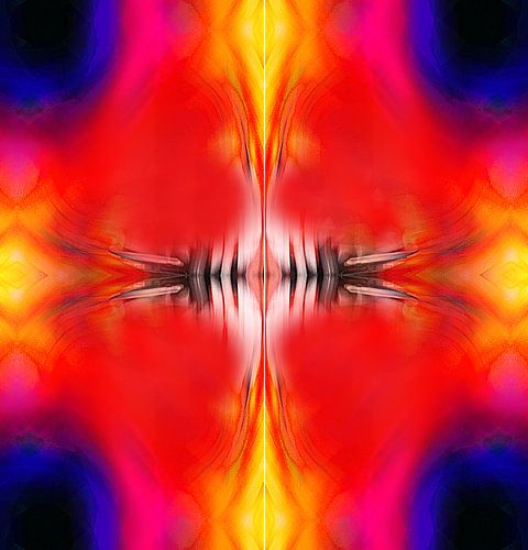 Bird of paradise - Paradijsvogel.