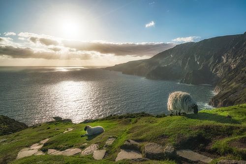 Slieve League view with sheep by Roelof Nijholt
