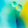 Cercles | abstrait / gouttes d'huile sur l'eau sur Marianne Twijnstra