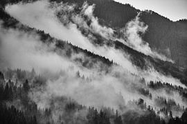Alpine fog 1 by Bart Rondeel