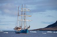 Tall Ship Barquentine Antigua in de wateren rondom Spitsbergen van Menno Schaefer thumbnail