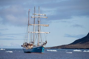 Tall Ship Barquentine Antigua in de wateren rondom Spitsbergen van Menno Schaefer