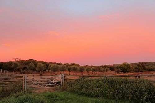 Zonsondergang in Portugal