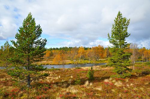 Sonfjället Nationaal Park