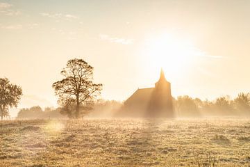 L'aube sur P Kuipers