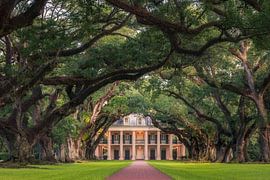 Oak Alley Plantation by Edwin Mooijaart