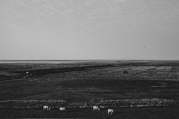Zwart-wit landschap in Moddergat, Friesland. van Denise Tiggelman