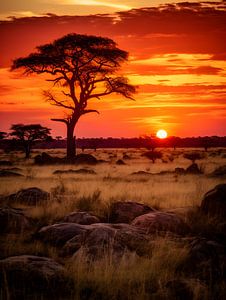 Sonnenuntergang in Afrika V1 von drdigitaldesign