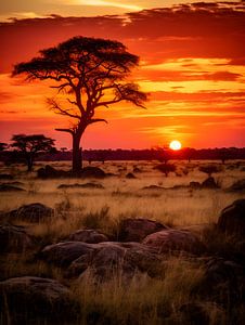 Sonnenuntergang in Afrika V1