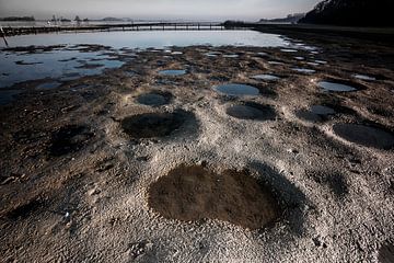 Grote Piet, Veerse meer.