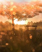 Leersumse veld part 26
