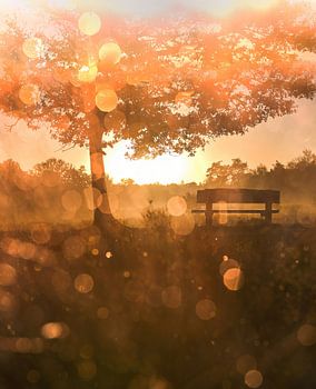 Leersumer Feld Teil 26