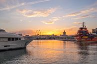 Hafen von Malaga bei Sonnenuntergang von Rick Van der Poorten Miniaturansicht
