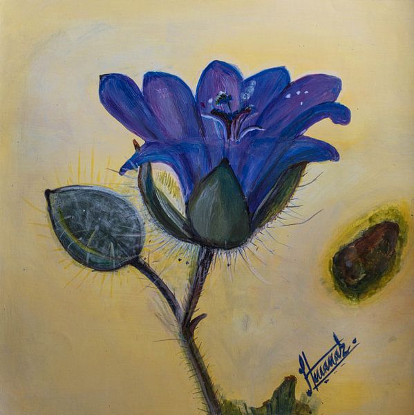 Wilde veldbloemen van Henk Goossens