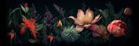 Tropisch panorama | Botanisch gezelschap