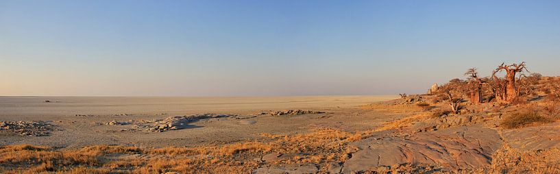 Kubu Island Botswana par ManSch
