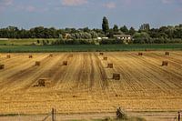 Hay bales