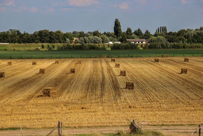 Heuballen von Karlo Bolder
