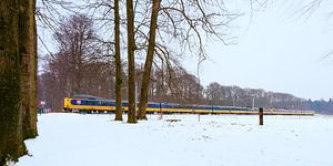 Le train dans le paysage néerlandais:  De Steeg