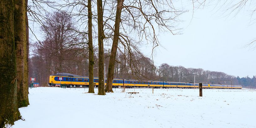 De trein in het Nederlandse landschap: De Steeg van John Verbruggen