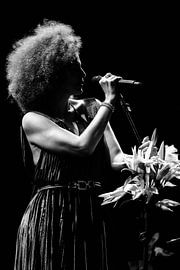 Lichter und Schatten einer Sängerin von BNW Nude Art