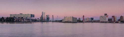 Rotterdam panorama