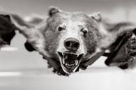 Peau d'ours en noir et blanc par Atelier Liesjes Aperçu