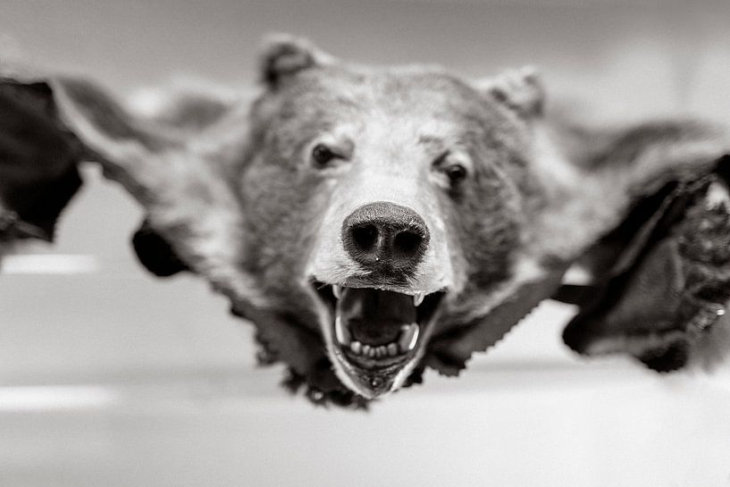 Peau d'ours en noir et blanc par Atelier Liesjes