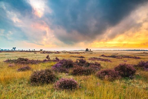 Coucher de soleil sur la Veluwe sur Sander Meertins