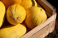 Yellow honeydew melons in a box by Ulrike Leone thumbnail