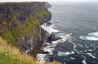 Die Cliffs of Moher sind die bekanntesten Klippen in Irland. von Babetts Bildergalerie Miniaturansicht