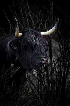 Dark by Merle van Faassen