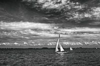 Zeilen op de Gouwzee
