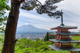 Temple with in the back mount Fuji - Japan by Michael Bollen