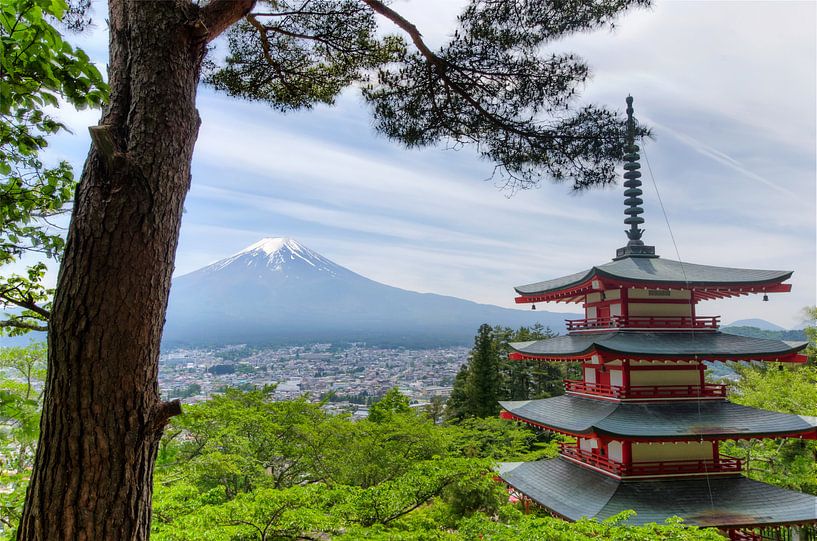 Temple avec mt. Fuji - Japon par Michael Bollen