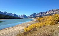 USA Montana