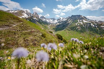 Blumige Aussicht auf die Lechtaler Alpen und den Valluga von Leo Schindzielorz