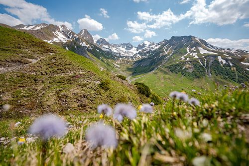Bloemrijk uitzicht op de Lechtaler Alpen en de Valluga