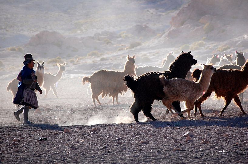 Lama shepherdess by Suzanne Roes