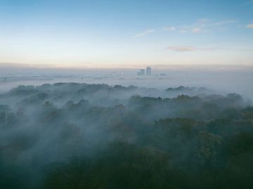 Misty forest overhead aerial view during autumn by Sjoerd van der Wal Photography