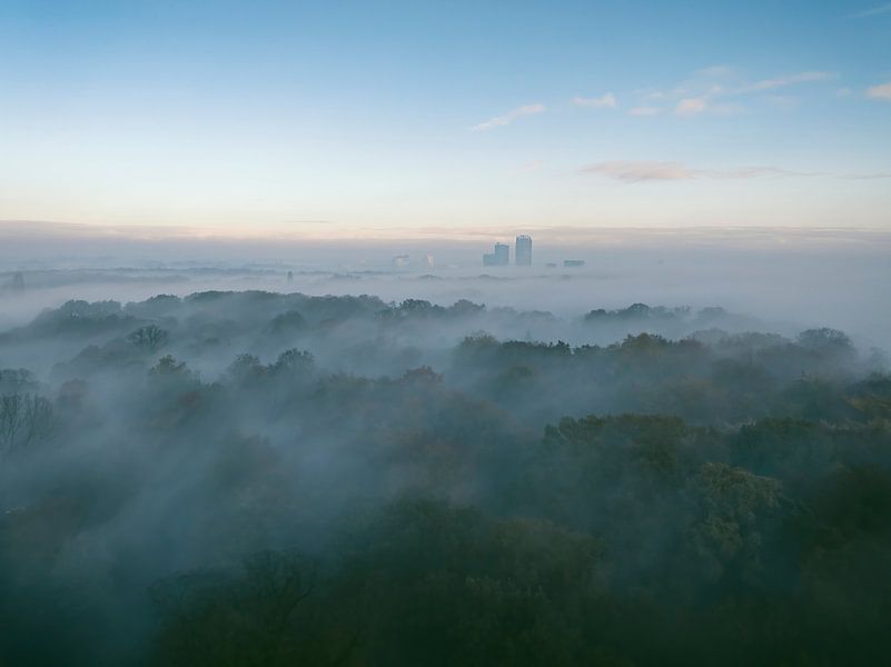 Misty forest overhead aerial view during autumn by Sjoerd van der Wal Photography