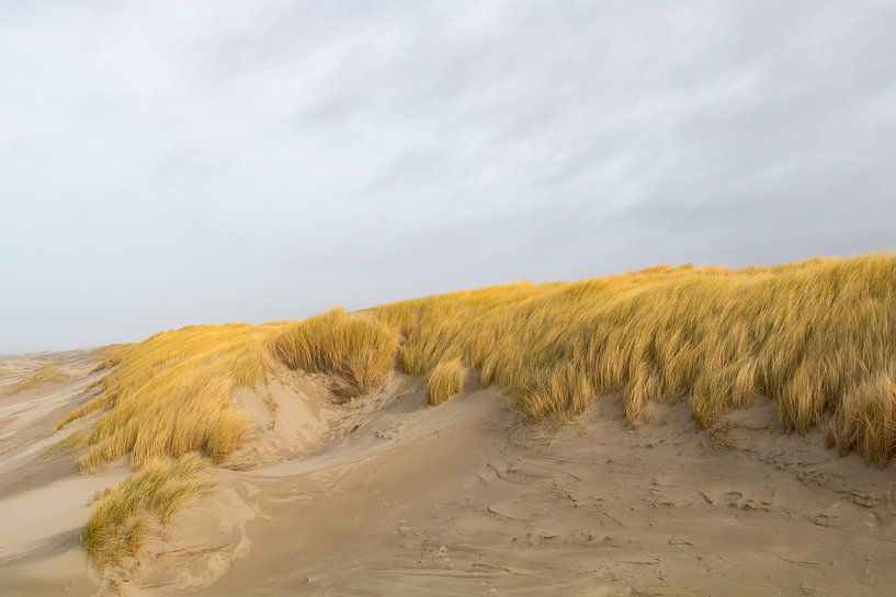 Dune view by Anna Thiessen